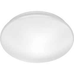 Ceiling Lights